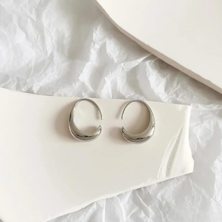 Elegant Earrings Made of Gold and Silver